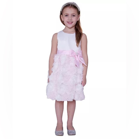 Rare Editions Girls 2/3T Satin Bodice with Floral Soutache Skirt Dress - Picture 1 of 5